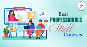 Professional skill courses